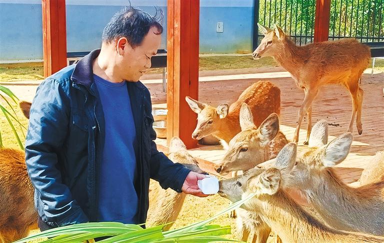 发展产业调研】林下生金AG真人百家乐【高质量
